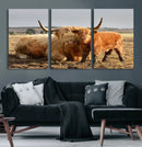Highland Cow Canvas Wall Art Animal Print for Farm House