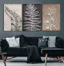 Minimalist Botanical Wall Art Canvas Print, Framed and Ready