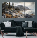 Serene Coastal View of Acadia National Park - Stunning