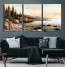 Serene Coastal View of Acadia National Park Wall Art -