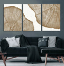 Rustic Brown Tree Ring Wall Art Canvas Print – Framed and