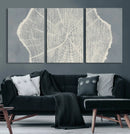 Abstract Tree Ring Wall Art Canvas Print – Nature-Inspired,