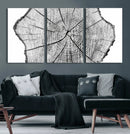 Rustic Tree Ring Wall Art Canvas Print – Framed and Ready to