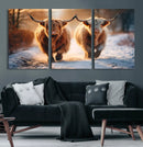 Scottish Highland Cow Horn Farm Wall Art Canvas Print