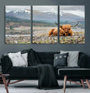 Highland Cow Horn Farm Wall Art Canvas Print
