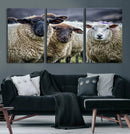 Charming Sheep Portrait Wall Art – Trio of Woolly Companions by MyGreatCanvas | Canvas Wall Art Prints | Photo Prints & Wall Decor