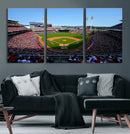 Cincinnati Reds Baseball Canvas Print - American Ball