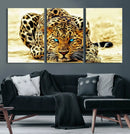 Blue-Eyed Leopard Canvas Wall Art - Framed Animal Print