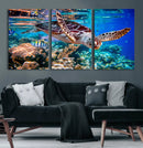 Underwater Coral Reef Sea Turtle Wall Art Canvas Print,