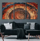 Abstract Tree Ring Art, Colorful Tree Ring Wall Decor, by MyGreatCanvas | Canvas Wall Art Prints | Photo Prints & Wall Decor