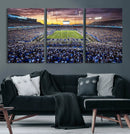 Kroger Field Wall Art Print - Kentucky Stadium Wall Art