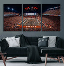 Texas Stadium Night Game Wall Art Canvas Print – Vibrant