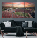 Indiana Memorial Stadium Wall Art Canvas Print, Framed