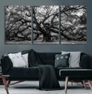 Black and White Old Angel Oak Tree Wall Art Canvas Print