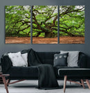Majestic Oak Tree Wall Art Canvas Print – Ancient Branches by MyGreatCanvas | Canvas Wall Art Prints | Photo Prints & Wall Decor