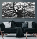 Ancient Oak Wall Art Canvas Print – Gnarled Tree Twisted by MyGreatCanvas | Canvas Wall Art Prints | Photo Prints & Wall Decor