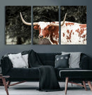 Texas Longhorn Wall Art Canvas Print – Framed Spotted Bull