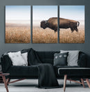 Wild Bison Wall Art – Framed Prairie Landscape Canvas by MyGreatCanvas | Canvas Wall Art Prints | Photo Prints & Wall Decor