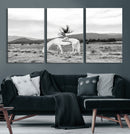 White Horse Wall Art Canvas Print – Framed Woman Rider