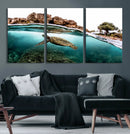 Sea Turtle Wall Art Canvas Print – Framed Ocean Life
