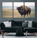 Bison Wall Art Canvas Print – Framed Buffalo American Bison