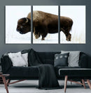 Bison Wall Art Canvas Print – Framed Western Wildlife