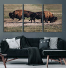 Bison Wall Art Canvas Print – Framed Western Wildlife Modern by MyGreatCanvas | Canvas Wall Art Prints | Photo Prints & Wall Decor