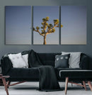 Joshua Tree Wall Art Canvas Print – Framed Southwestern