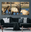 Wild Elk Wall Art Canvas Print – Framed Neutral Wildlife