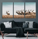 Elk Herd Wall Art Canvas Print – Framed Wildlife Photography