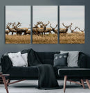 Elk Herd Wall Art Canvas Print – Framed Wildlife Photography