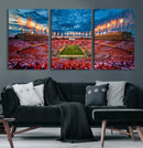 Tennessee Neyland Stadium Wall Art, Sports Arena Canvas by MyGreatCanvas | Canvas Wall Art Prints | Photo Prints & Wall Decor