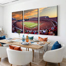 Dooley Stadium Wall Art, Sports Arena Canvas Print, Dooley