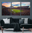 Jordan-Hare Stadium Wall Art Canvas Print, Football Stadium by MyGreatCanvas | Canvas Wall Art Prints | Photo Prints & Wall Decor