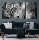 Wild Old Elephant Wall Art Canvas Print