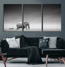 Elephand and Zebra Wall Art Canvas Print, Modern Artwork