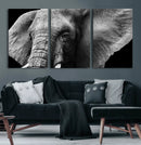 Big Elephant Close Up Wall Art Canvas Print