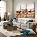 Texas Longhorn Cattle Wall Art Canvas Print, Sepia Western