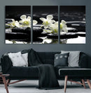 Plumeria Frangipani Black Stone Canvas | White Flower Spa by MyGreatCanvas | Canvas Wall Art Prints | Photo Prints & Wall Decor