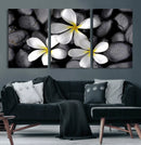 Plumeria Frangipani Black Stone Canvas | White Flower Spa by MyGreatCanvas | Canvas Wall Art Prints | Photo Prints & Wall Decor