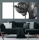Black and White Grizzly 399 Bear Canvas Print Wall Art | by MyGreatCanvas | Canvas Wall Art Prints | Photo Prints & Wall Decor