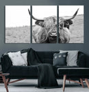 Newfoundland Cow Art Wall Art, Black White Cow Art Wall Art