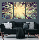 Tree and Sunshine Canvas Print