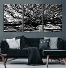 Mighty Angel Oak Wall Art | Angel Oak Tree Art Print by MyGreatCanvas | Canvas Wall Art Prints | Photo Prints & Wall Decor