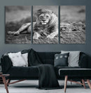 King Forest Lion Wall Art Canvas Print – Framed Majestic by MyGreatCanvas | Canvas Wall Art Prints | Photo Prints & Wall Decor