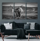 Fluffy Cattle Wall Art Print, Highland Cow Canvas, Framed by MyGreatCanvas | Canvas Wall Art Prints | Photo Prints & Wall Decor