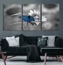 Blue Butterfly Black and White Canvas Wall Art by MyGreatCanvas | Canvas Wall Art Prints | Photo Prints & Wall Decor