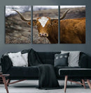 Texas Longhorn Canvas Wall Art - Longhorn Steer Canvas Wall by MyGreatCanvas | Canvas Wall Art Prints | Photo Prints & Wall Decor