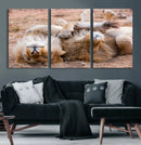 Lion Pair Wall Art Canvas Print – Framed Wildlife Scene with by MyGreatCanvas | Canvas Wall Art Prints | Photo Prints & Wall Decor