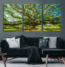 Majestic Oak Tree Wall Art – Serene Nature Canvas Print with